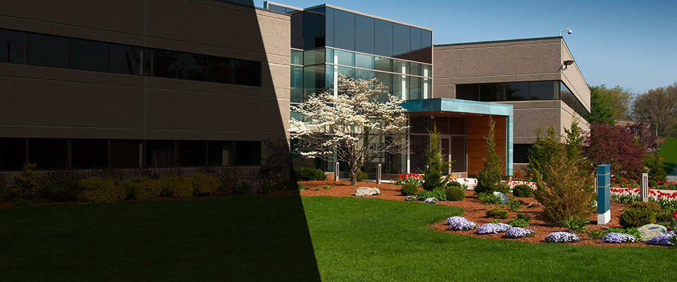 Cottage Grove Landscapers