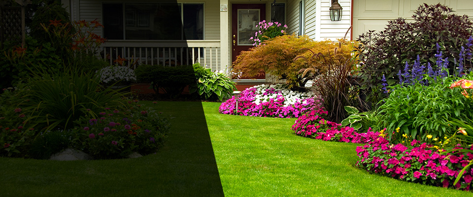 Cottage Grove Landscapers