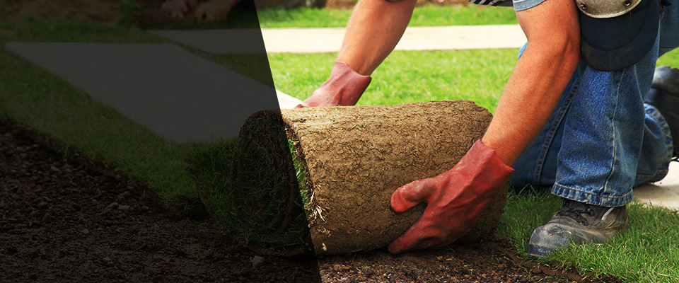 Cottage Grove Landscapers